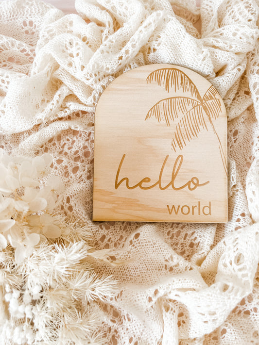 Hello World - palm